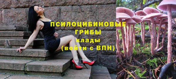 соль курить ск Алзамай