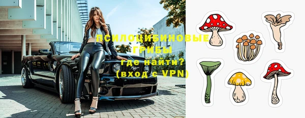 ПСИЛОЦИБИНОВЫЕ ГРИБЫ Алексеевка