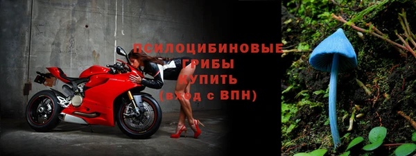 соль курить ск Алзамай