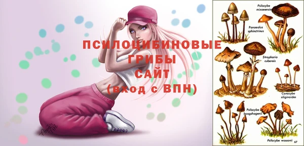 ПСИЛОЦИБИНОВЫЕ ГРИБЫ Алексеевка