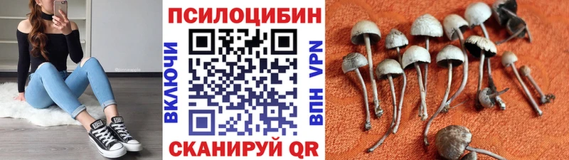 Псилоцибиновые грибы Psilocybe  MEGA как войти  Невьянск 